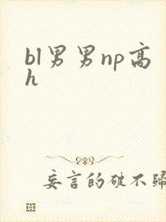 bl男男np高h
