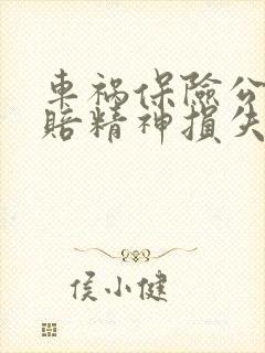 车祸保险公司不赔精神损失费