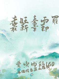 老旺秦雨罗老旺最新章节