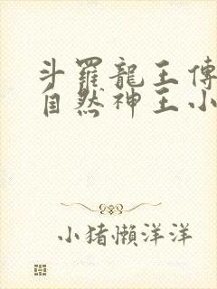 斗罗龙王传说之自然神王小说 斗罗龙王传说之自然神王小说