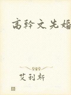 高干文先婚后爱