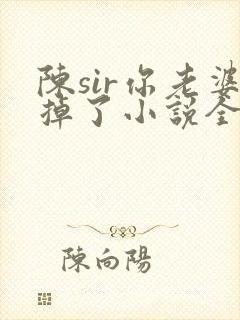 陈sir你老婆掉了小说全文阅读最新章节