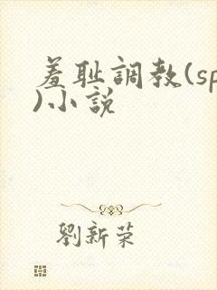 羞耻调教(sp)小说