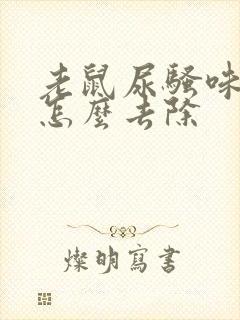 老鼠尿骚味太重怎么去除