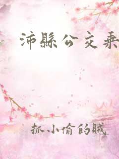 沛县公交乘车码