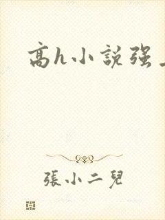高h小说强上