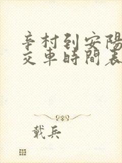 辛村到安阳的公交车时间表