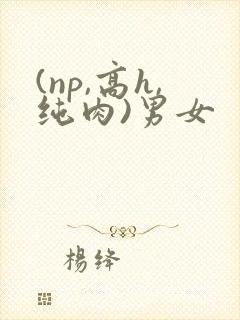 (np,高h,纯肉)男女