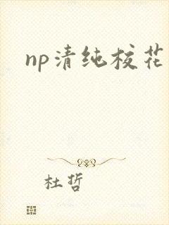 np清纯校花