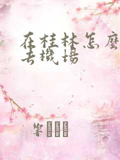 在桂林怎么坐车去机场