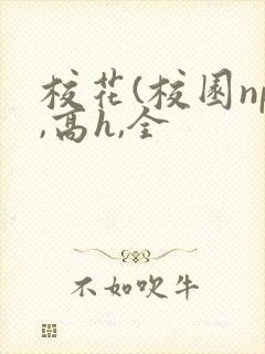校花(校园np,高h,全