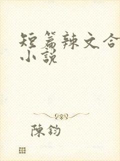 短篇辣文合集的小说