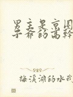 男主是京圈的太子爷的高干文