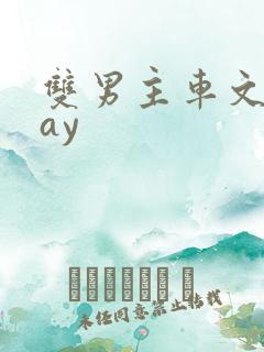 双男主车文play