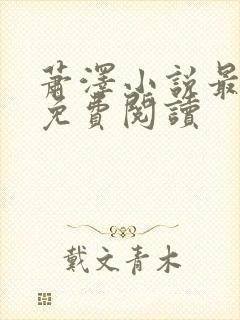 萧泽小说最新版免费阅读