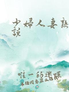 少妇人妻熟女小说 少妇人妻熟女小说