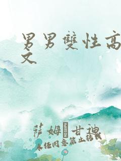 男男双性高h车文