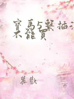 宝马5系插混能不能买
