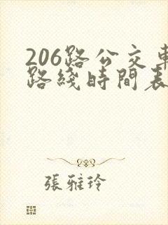 206路公交车路线时间表查询 206路公交车路线时间表查询