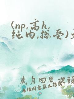 (np,高h,纯肉,总受)文