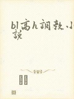 bl高h调教小说