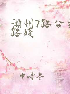 湖州7路公交车路线