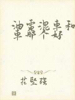 油电混车和纯电车哪个好