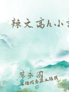 辣文高h小说网