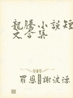 龙腾小说短篇辣文合集