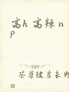 高h 高辣 np