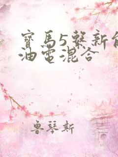 宝马5系新能源油电混合 宝马5系新能源油电混合