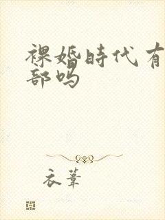 裸婚时代有第二部吗