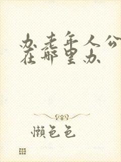 办老年人公交卡在哪里办