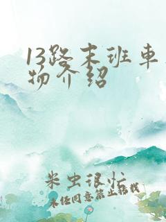 13路末班车人物介绍 13路末班车人物介绍