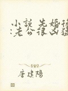 小说 先婚后爱:老公很凶猛