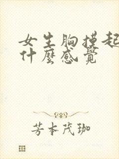 女生胸摸起来是什么感觉