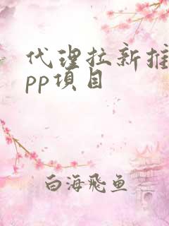 代理拉新推广app项目