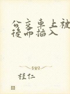 公交车上被人从后面插入