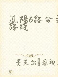 凤阳6路公交车路线
