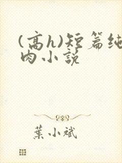(高h)短篇纯肉小说 (高h)短篇纯肉小说
