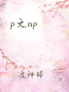 p文np