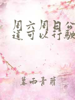 周六周日公交车道可以行驶吗