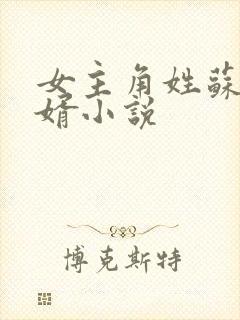 女主角姓苏的赘婿小说