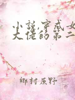 小说,穿成女装大佬的第二人格