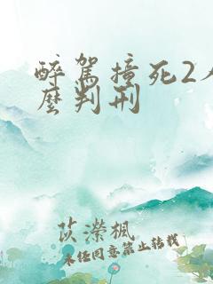 醉驾撞死2人怎么判刑