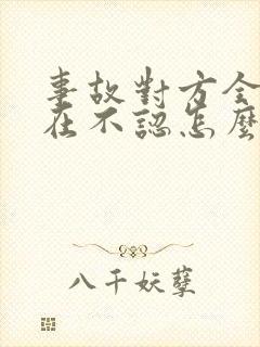 事故对方全责现在不认怎么办 事故对方全责现在不认怎么办