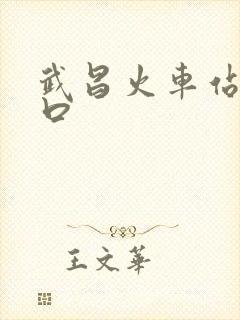 武昌火车站到汉口