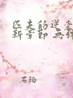 匹夫的逆袭 最新章节 无弹窗