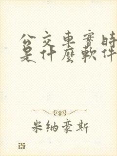公交车实时查询是什么软件 公交车实时查询是什么软件