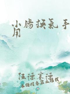 小肠换气手术费用